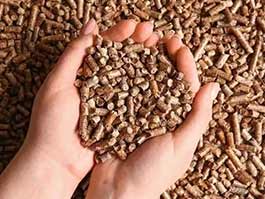 氧化鎂作為添加劑，在動物飼料中的應用廣泛