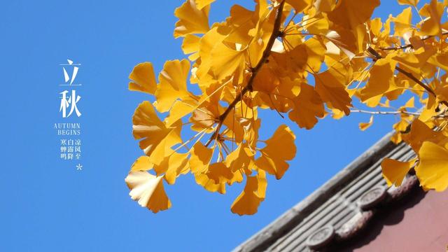 立秋，炎夏已去秋來到